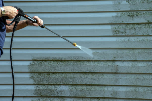 Best Roof Pressure Washing  in Grove Hill, AL