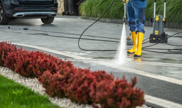 Best Residential Pressure Washing Services  in Grove Hill, AL