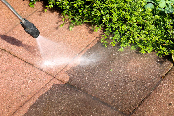 Best Affordable Pressure Washing  in Grove Hill, AL